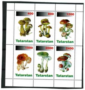 Tatarstan 1998 (Russia local Stamp) Mushrooms Sheet Perforated mnh.vf