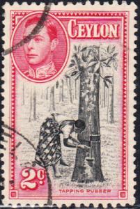 Ceylon #278d p.11.5x13