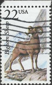 # 2288 USED BIGHORN SHEEP