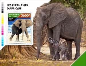 Chad - 2022 African Bush Elephants - Stamp Souvenir Sheet - TCH220206b