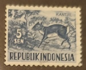 Indonesia 424