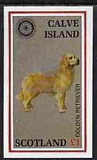 CALVE IS - 1998 - Dog, Silver o/p Rotary - Souv Sheet - M. N. H. -Local Issue