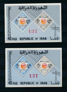 [20567] Iraq 1965 UIT Telecommunication Pair Perf. and Imperforated Sheet MNH