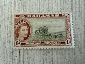 Bahamas #159 MH, 1p, Modern Agriculture, 2024 SCV $0.25