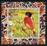 IVORY COAST - 2003 - Birds, Stonechaf - Perf 1v Sheet - MNH - Private Issue