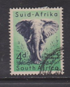 SC205 South Africa Elephant used