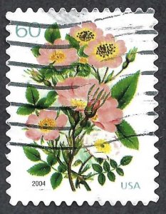 United States #3837 60¢ Garden Botanical (2004). Used.