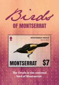 Montserrat 2016 - Birds Oriole - Souvenir Stamp Sheet - Scott #1378 - MNH