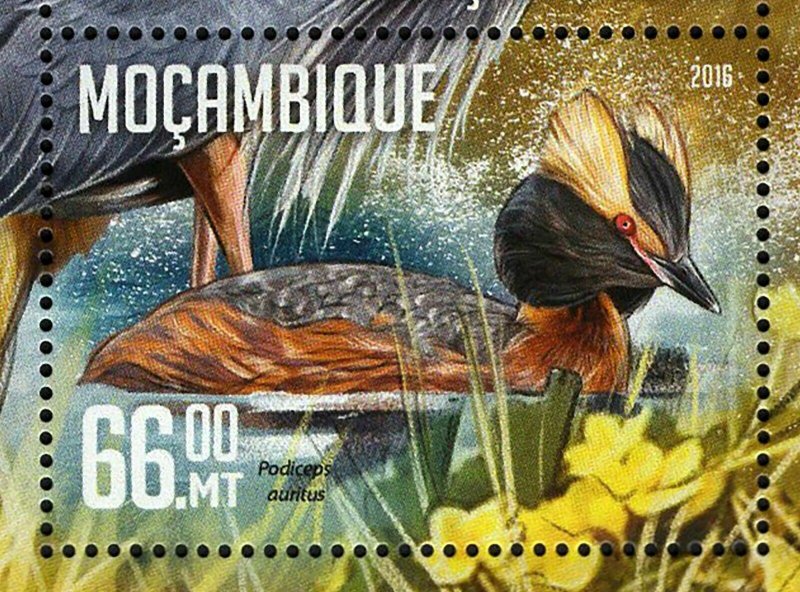 Water Birds Stamp Phoenicopterus Roseus Platalea Ajaja S/S MNH #8459-8462 