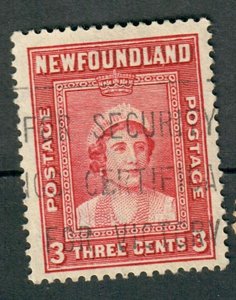 Newfoundland #246 used single - perf 13.5
