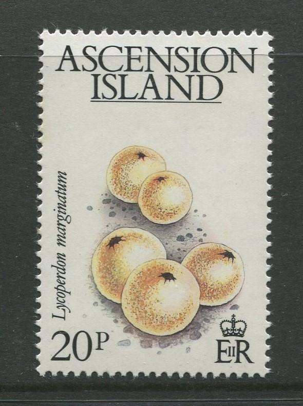 Ascension - Scott 326 - General Issue -1983 - MNH - Single 20p Stamp