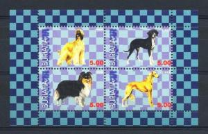 BURIATIA SHEET DOGS