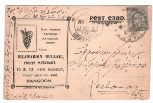 BURMA KEVII Postcard Rangoon INDIA Peshawar Advert FRUITS Illustrated 1917 MA233