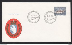 Gr074 1981 Greenland Grönland Fish & Marine Life Michel #129 Fdc Envelope