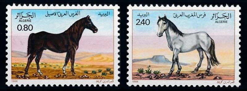 [65555] Algeria 1984 Horses  MLH