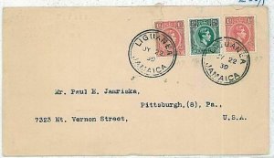 09452 - JAMAICA - POSTAL HISTORY - COVER with  LIGUANEA postmark 1930