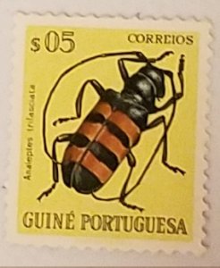 Portuguese Guinea 281