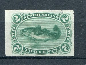 Newfoundland  #38 Mint XF - Lakeshore Philatelics