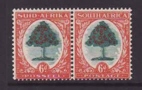 South Africa-Sc#60- id9-unused og NH 6p Orange Tree pair-Die II-1938-