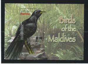 Maldive islands birds souvenir sheet  mnh sc  3008