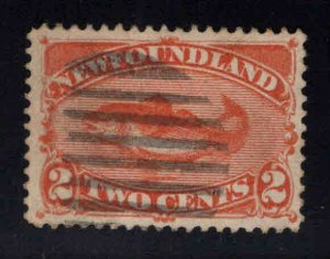 NEWFOUNDLAND Scott 48 Red Orange Codfish stamp nicely centered Used