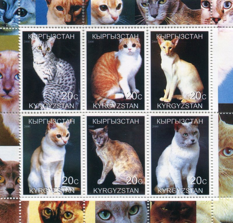 Kyrgyzstan 2000 DOMESTIC CATS Sheet Perforated Mint (NH)
