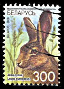 Belarus 657, used, European Hare