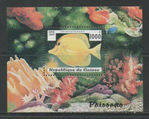 Thematic Stamps Animals - GUINEA REP 1997 FISHES MS mint