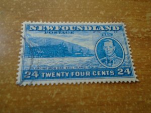Newfoundland  # 241  used