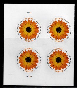 USA # 5680 AFRICAN DAISY MNH PLATE BLOCK OF 4 GLOBAL STAMPS