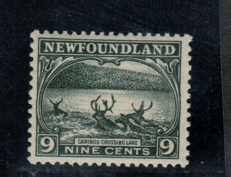Newfoundland #138 Extra Fine Never Hinged