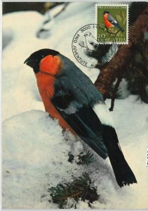 63812 - SWITZERLAND - POSTAL HISTORY: MAXIMUM CARD 1968 - BIRDS PRO JUVENTUTE-
