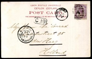 1899 Ceylon 5c QV used on pictorial Postcard, Colombo to Holland, C19