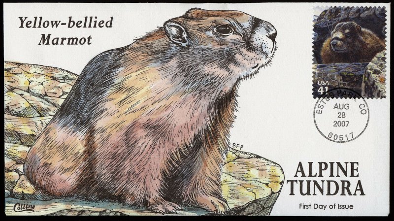 Collins Handpainted FDC Alpine Tundra: Yellow-bellied Marmot (8/28/2007)