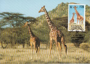 Kenya 1989 Maxicard Sc #491 1.20sh Reticulated giraffe WWF