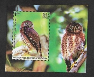 SE)2019 CUBA  FROM THE FAUNA SERIES, NIGHT BIRDS OF PREY OF CUBA, OWL, MEMORY