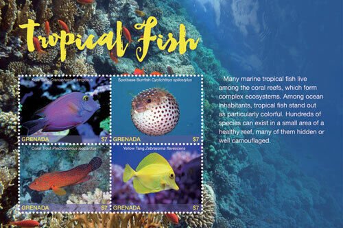 Grenada 2017 - Tropical Fish - Marine Life - Sheet of 4 Stamps - MNH