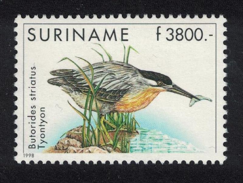 Suriname Green-backed Heron Bird 1v SG#1770