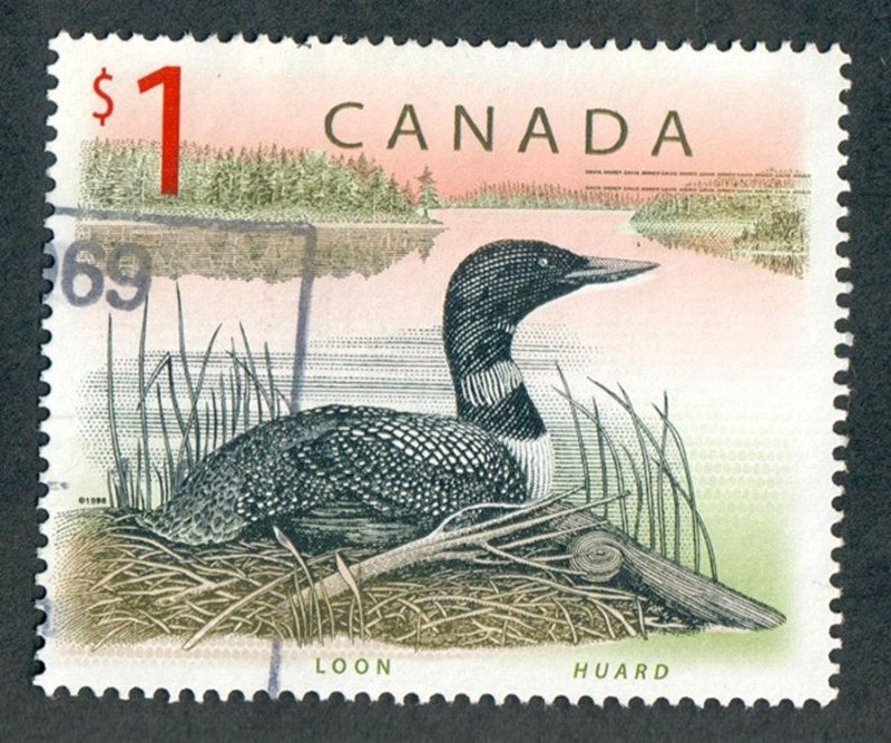 Canada #1687 Loon used single