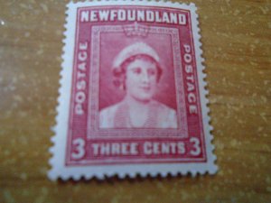 Newfoundland  # 255  MH