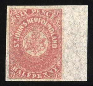 Newfoundland 21, $85. 1861 6 1/2p rose, hinged, sheet margin at right