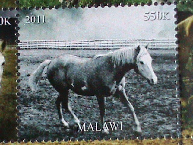 ​Malawi Stamp:2011-Beautiful Horses MNH Stamp sheet-#2