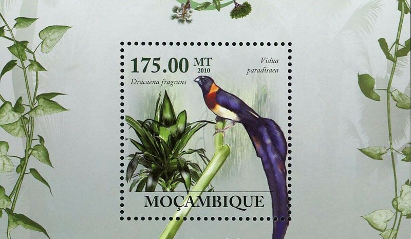 Flora Tropical Birds Stamp Vidua Paradisaea Dracaena Fragrans S/S MNH #3514