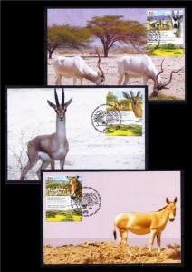 ISRAEL STAMPS 2018 YOTVATA HAI BAR  50 YEARS 3 MAXIMUM CARD  FAUNA ANIMAL