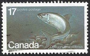 Canada #853 17¢ Atlantic Whitefish (1980). Used.