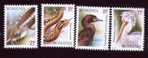 Romania 2010 STAMPS Protected fauna birds Danube river delta set MNH