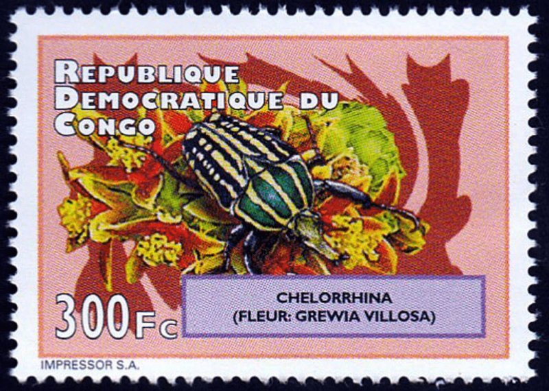 Beetles and Flowers 2012 - Perf. - Full-