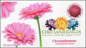 20-085, 2020, Chrysanthemum, Digital Color Postmark, First Day Cover, Internatio