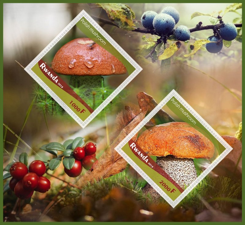 Stamps.  Mushrooms  2018 1+1 sheets perforated