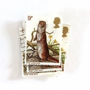 10 x Otter, used, British postage stamps all off paper - 9p 1977 Wildlife